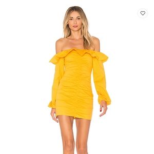 NWT Tularosa Zuri Dress